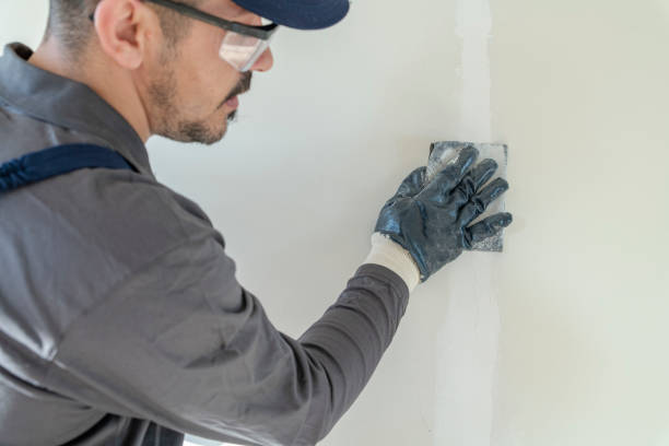 Best Exterior Painting Solutions  in USA