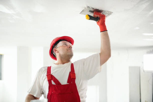 Best Commercial Painting Services  in USA